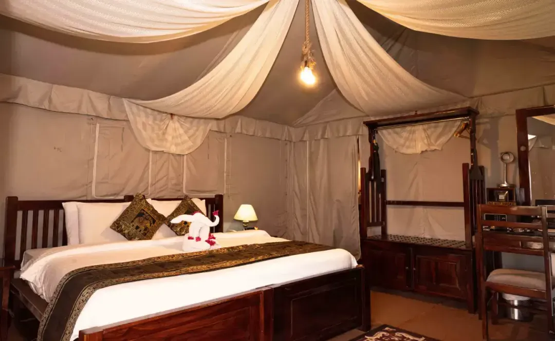 luxury-camps-1
